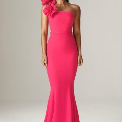 Women Alieva Dresses | Rona 3D Flowers Corset Maxi Gown (Fuchsia)